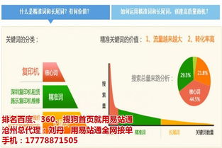 揭秘孟村龍馬熱銷背后的網絡經銷利器 價低效果好的軟件如何助力企業騰飛