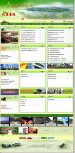 廣安思衡網絡發展 一站式企業信息化解決方案提供商